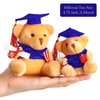 Sumind 6 Pieces Graduation Bears Class of 2024 Graduation Plush Bears Bulk Stuffed Animal Bears with Cap for Kindergarten Primary School College High School Party Favors(Blue)