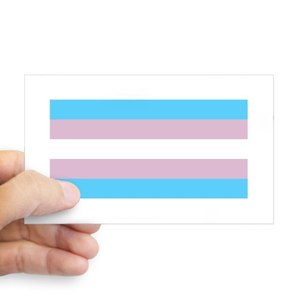 CafePress Trans Pride Rectangle Bumper Sticker Car Decal