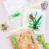Daydream Society Backyard Bugs - Kids Temporary Tattoos - Pack of 2 Bug Designs with Gold Foil - Insect Party Favors - Decorations For Birthdays, Nature Themed Parties, and Summer Gatherings