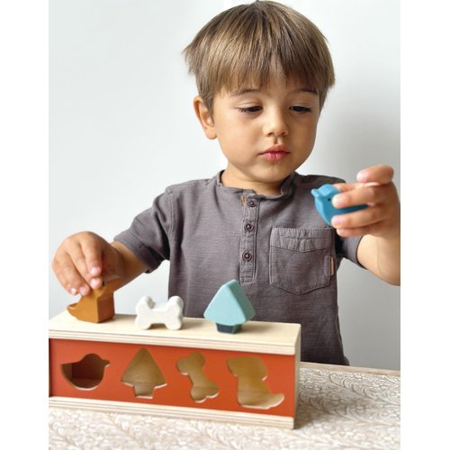 Mentari Toys - Pet Shape Sorting Box - Wooden Shape Sorter Toy for Toddlers - Classic Activity Toy with 4 Shapes and Sliding Lid - Boost Fine Motor Skills - Toddler Educational Toy - Age 2+