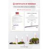 menorah skincare - Milky Hydrating Cream - with Lemna and Oat, Facial Lotion, Ultra Lightweight, for Adults, Moisturizer Face Cream, Natural Skin Brightening, Daily Beauty Routine