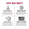 Big Beet Performance & Wellness Drink Mix | 3 Flavor Variety Pack | Organic Superfoods | Organic Nootropics | Zero Added Sugar | 15 ct.