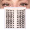 TOOCHUNAG Lash Clusters Natural Cluster Eyelash Extensions Wispy Eyelash Clusters Left&Right C Curl Individual Lashes 6-15mm DIY Cat Eye Lash Extension