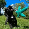 Dog Toy 2-Pack - Weed Leaf Water Pipe Dog Toys Funny Stuffed Squeaker Chews Plushies for Puppies