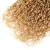 Color 27 Honey Blonde Bundles Human Hair Blonde Kinky Curly Bundles 22 24 26 inch Double Weft Color 27 Bundles Hair Weave Curly Wave Bundles Brazilian Virgin Remy Hair Extensions