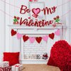 Valentines Banner Red Pink Heart Be My Valentine Words Garland Banner - Valentine’s Day Decor Banner for Valentine Party Decorations Anniversary Home Hanging Decoration Supplies