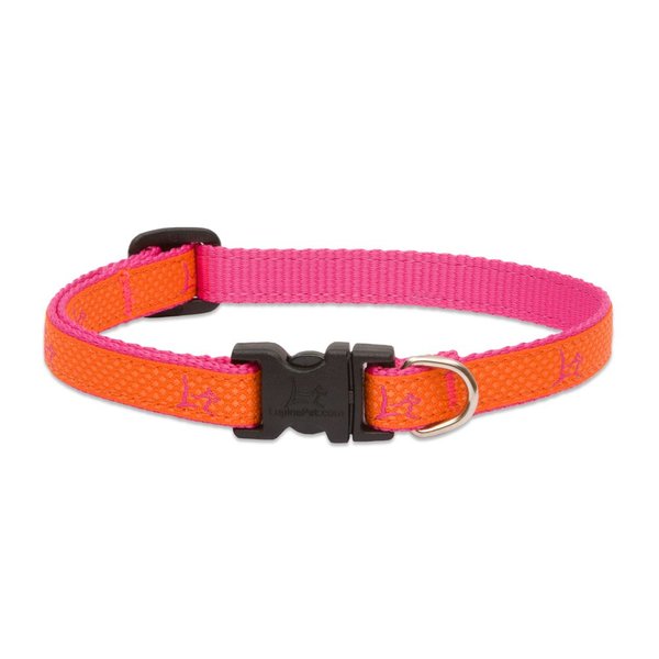 LupinePet Club 1/2" Sunset Orange 8-12" Adjustable Collar for Small Dogs