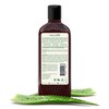 Naturaloe - Repairs & Moistures Conditioner - 100% Vegan Formula Infused with 40% Aloe Vera Gel + Argan Oil, EcoFriendly, Cruelty Free, No Parabens, No Silicones - 12 fl oz
