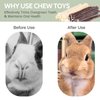 50-60 PCS Natural Rabbit Chew Toys, Bunny Toys, Guinea Pig Hamster Chew Toys, Rabbit Treats, Timothy Cookie, Apple Stick, Carrot Stick, Sweet Bamboo, Clean Teeth, for Chinchilla, Rat, Small Animals