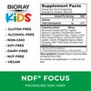 BIORAY Kids NDF Focus, Citrus - 4 fl oz - Supports Cognitive Function, Enhances Clarity & Promotes Steady Energy Levels - Non-GMO, Vegetarian, Gluten Free - 2-4 Month Supply