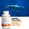 VITASEI Salmoflex Marine Collagen Peptides with Hyaluronic Acid and Vitamin C, D, E - Salmon Collagen Supplement for Bone and Joint - Hair, Skin and Nails Vitamins - 60 Capsules (Pack of 3)