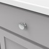 Hickory Hardware 10 Pack Solid Core Kitchen Cabinet Knobs, Luxury Cabinet and Dresser Knobs, Handle Pulls for Doors & Drawers, 1-3/8 Inch, Chrome, Forge Collection