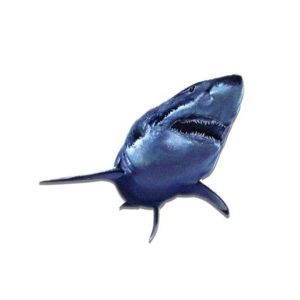 Great White Shark - 8" Vinyl Sticker - for Car Laptop I-Pad - Waterproof Decal
