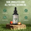 Premium Batana Oil for Hair - 1oz Pure Raw Batana Hair Oil for Men and Women - Promotes Thicker Hair Growth and Restoration Dr Sebi & Dr Truth recommended