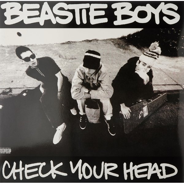 Check Your Head (2 LPs) [Vinyl]