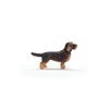 Schleich Farm World New 2024 Farm Animal Toy Wire Haired Dachshund Dog Toy Figurine