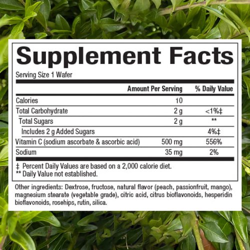 Natural Factors, Kids Chewable Vitamin C 500 mg, Supports Immune Health, Bones, Teeth and Gums, Peach, Passionfruit and Mango, 180 Wafers