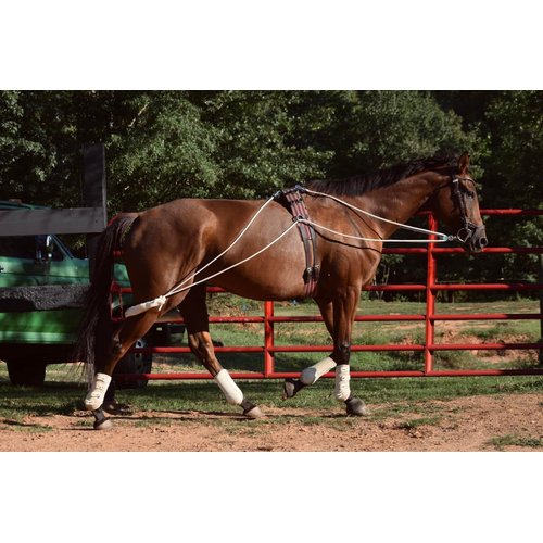 Leaders Training or Lungeing Aid for Horse (Black)