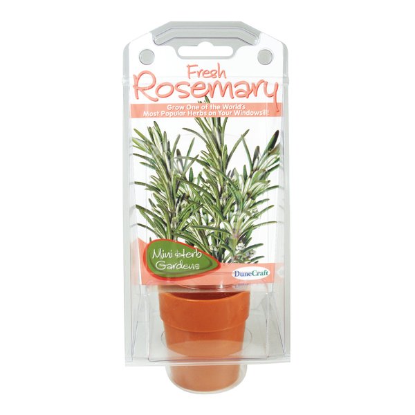 DuneCraft Rosemary Capsule Terrarium Science Kit