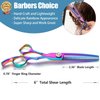 Double Sided Thinning Shears Double Teeth Shears Dual Blade Blending Texturizing Haircut Barber Thinning Scissor Professional for Stylist, Men, Women, Kids Rainbow 6" Dragon Creek Gift