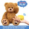 JRGKJCP 16 Minutes Voice Recorder, Record Custom Message for Plush Toy, Stuffed Bear Toy, Baby Doll Toy, and Pillow (2Pack + Yellow)
