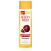 Burt's Bees Pomegranate Seed Oil Very Volumizing Shampoo, Sulfate-Free Shampoo, 10 Oz (Package May Vary)