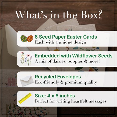 iEcco Happy Birthday Card Set - 6 Seed Paper Greeting Cards with Envelopes - 4x6 Inches - Eco-Friendly Wildflower Birthday Postcards - Biodegradable Birthday Card Pack