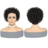Short Curly Pixie Cut Lace Front Wigs Human Hair, 13X1 HD Lace Front Wigs Plucked for Black Women 6 Inch, Natural Black (6", 13x1, 1B, Pixue Cut Wig)