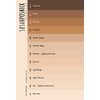 SUSAN POSNICK, COLORFLO: Natural Makeup, Vegan, Cruelty Free, Mineral Powder Foundation & Sun Protection/Loose (M6/Medium Slightly Pink) US Brand