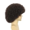 karlery Adult Men Women Afro 70s 80s Curly Dark Brown Wig Rocker Party Wig California Halloween Costume Wig