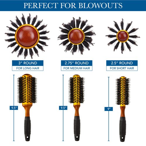 Small Round Blow Dry Brush - Boar Bristle, Thermal Ceramic Barrel, Professional Anti-Static Roller Hair Brush for Styling and Blow Drying - 12 Row, For Short to Medium Hair - By Cantor