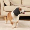 Vokiuler Quiet Ears for Dogs, Cat Dog Hoodies Hat for Noise Block Ear Protection and Recovery, Dogs No Flap Ear Wraps for Anxiety Relief, Calming, Grooming, Neck Ear Warmer (M, Gray)