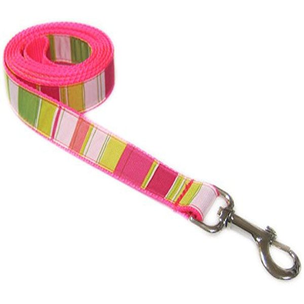 Medium Neon Pink/Multi Stripe Dog Leash: 3/4" wide, 6ft length - Made in USA.