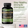Quercetin with Vitamin C and Zinc - Nettle Quercetin - Quercetin 500mg - Quercetin with Bromelain - Zinc Quercetin + Vitamin D3 - 240 Veggie Caps - (Non-GMO, Gluten-Free, Vegan) 4 Month Supply