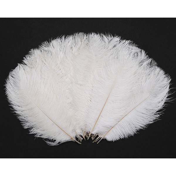 Hollosport 30PCS Bulk White Ostrich Feathers 10-12 Inches for Centerpieces Party Wedding Home Decorations Dream Catchers Vases Crafts Christmas Tree (White)