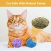 Retro Shaw Catnip Toys, Cat Toys Balls with Catnip and Bell Inside, Catnip Toys for Cats, Cat Toys for Indoor Cats, Cat Toys with Catnip, Cat Chew Toy, Cat Toy for Cats Kittens Kitty, 6 Pack