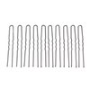 100 Pcs U Shaped Hair Styling Pins for Women Girls Bun Hair Pins (2.4 Inch, Black)