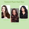 Bubble Hair Dye Shampoo,Natural Plant Hair Dye, Pure Plant Extract for Grey Hair Color Bubble Dye Plant Bubble Hair Dye Shampoo 20ml 10packs/Box (Chestnut Brown)