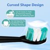 Replacement Toothbrush Heads Compatible with AquaSonic Black Series Vibe Series Electric Toothbrush, Curved Shape Design Planted with Nylon Bristle (Black)