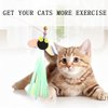 6 PCS Cat Toy Wand Refills, Shiny Insect Refills for Cat Wand Toy Furr Cat Toys Interactive Cat Teaser Wand Attachments, with Bell Fishing Pole Toy, Chase Exercise Toys for Indoor Cats and Kittens