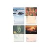Leanin' Tree, The Pacific Northwest, Blank Cards and Envelopes, Blank Greeting Cards, Stationary Set, Blank Note Cards, (20 Blank Cards, 22 Envelopes)