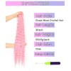 Cypsin Pink Curly Crochet Hair 30Inch 2 Packs Deep Wave Crochet Hair with Crochet Hook, Long Ocean Wave Braiding Hair for Women, Synthetic Hair Curly Braiding Hair Extensions