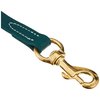 J&J Dog Supplies Biothane Dog Leash, 3/4" Wide by 6' Long, Hunter Green