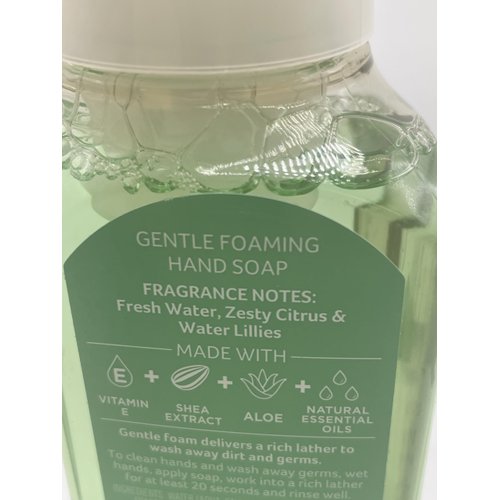 Toadally Terrific Gentle Foaming Hand Soap 8.75 Ounce Full Size