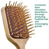 Giorgio Eco Friendly Wooden Bristle Hairbrush - Bundle Detangling Brush and Hair Growth Brush for Thick or Long Hair - Paddle Hair Brush Made with Anti Static Beechwood, Silicone Massage Cushion