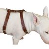 Genuine Tooled Leather Dog Harness Medium. 22"-30" Chest, 3/4" Wide Straps, Boston Terrier