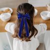 2PCS Velvet Hair Bows Ribbon Hair Clips, Ponytail Holder Slides Metal Clips French Barrette Big Fall Alligator Hair Clips Hair Accessories for Women Girls Toddler (Blue-A)
