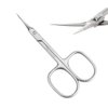 Accessory High Grade 440C Japanese Steel Cuticle Scissors With Sharper Edge, Grooming Precise Pointed Tip , Women and Men Manicure, Pedicure, Eyebrow, Nail Trimming, Eyelash, Dry Skin Matte Silver