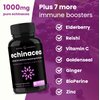 Echinacea Goldenseal 1000mg with Elderberry, Vitamin C, Zinc & Ginger | Immune Boost Vegan Echinacea Capsules with Goldenseal Root & BioPerine for Absorption | Premium Echinacea Root Supplement