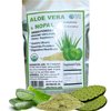 Aloe Vera & Nopal Cactus Pure 100% Organic Vegan Dried Powder Digestive System Health Bag 1/2 Lb. ALKAVITA, Green